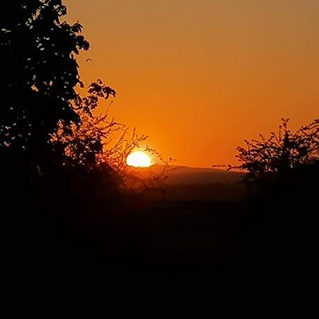 Stargazer Glamping Uk The Mahal 8 People Hotel Ross-on-Wye Ngoại thất bức ảnh